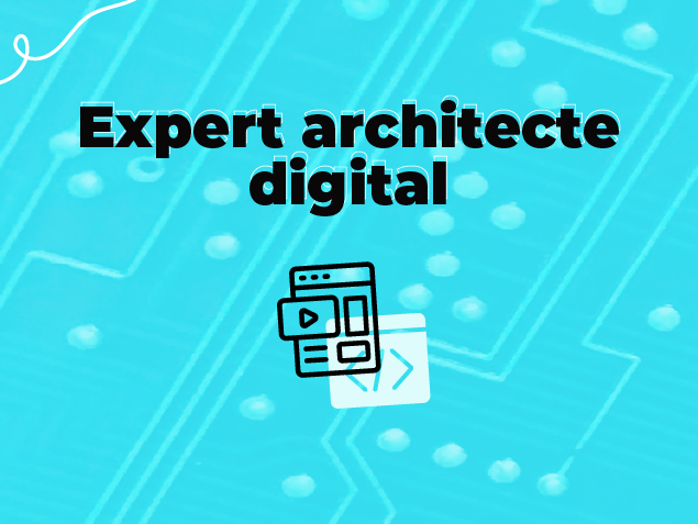 BAC +5 : Architecte Digital